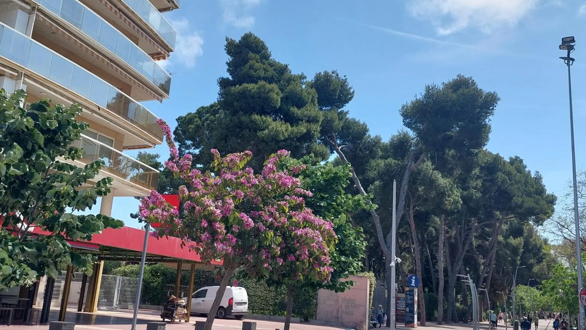Morning Coffee By The Sea 1 Bedroom Between Capellans And Llevant Beaches 萨洛 公寓